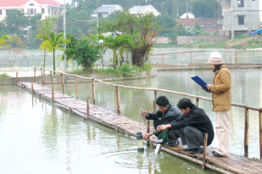 Quy định về quan trắc nước dưới đất