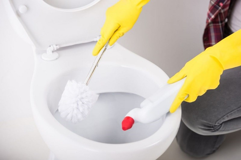 Nước thải từ các phòng vệ sinh do hệ bài tiết của con người