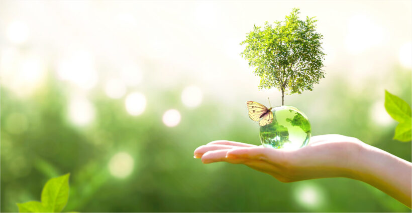 Dịch vụ tư vấn môi trường ngày càng phổ biến và phát triển