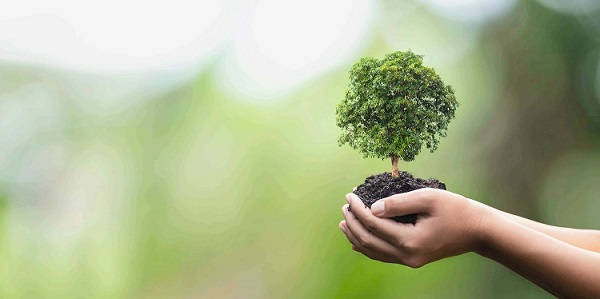 Dịch vụ tư vấn môi trường hỗ trợ giảm thiểu ô nhiễm môi trường, biến đổi khí hậu