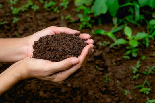 Mục đích quan trắc môi trường đất là gì?