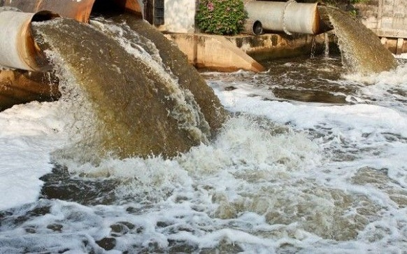 lập báo cáo giám sát môi trường định kỳ