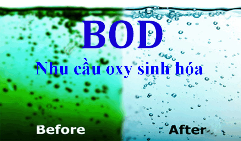 máy đo bod